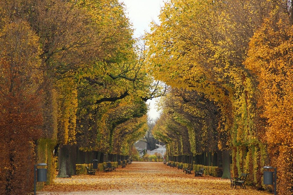 Prater Allee in Vienna Austria