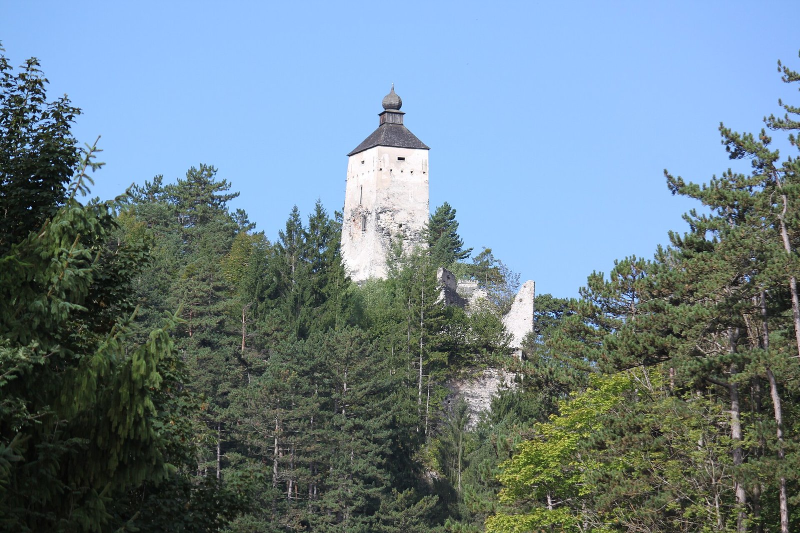 The tower of Burgruine Gutenstein above the forest beneath a blue sky