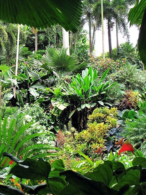 Hunte’s Gardens