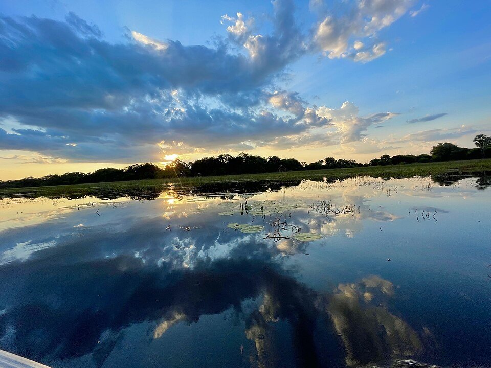 Maun