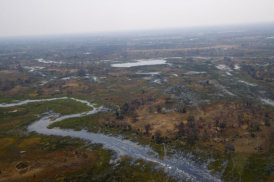 Aerial view of Botswana’s Okavango Delta