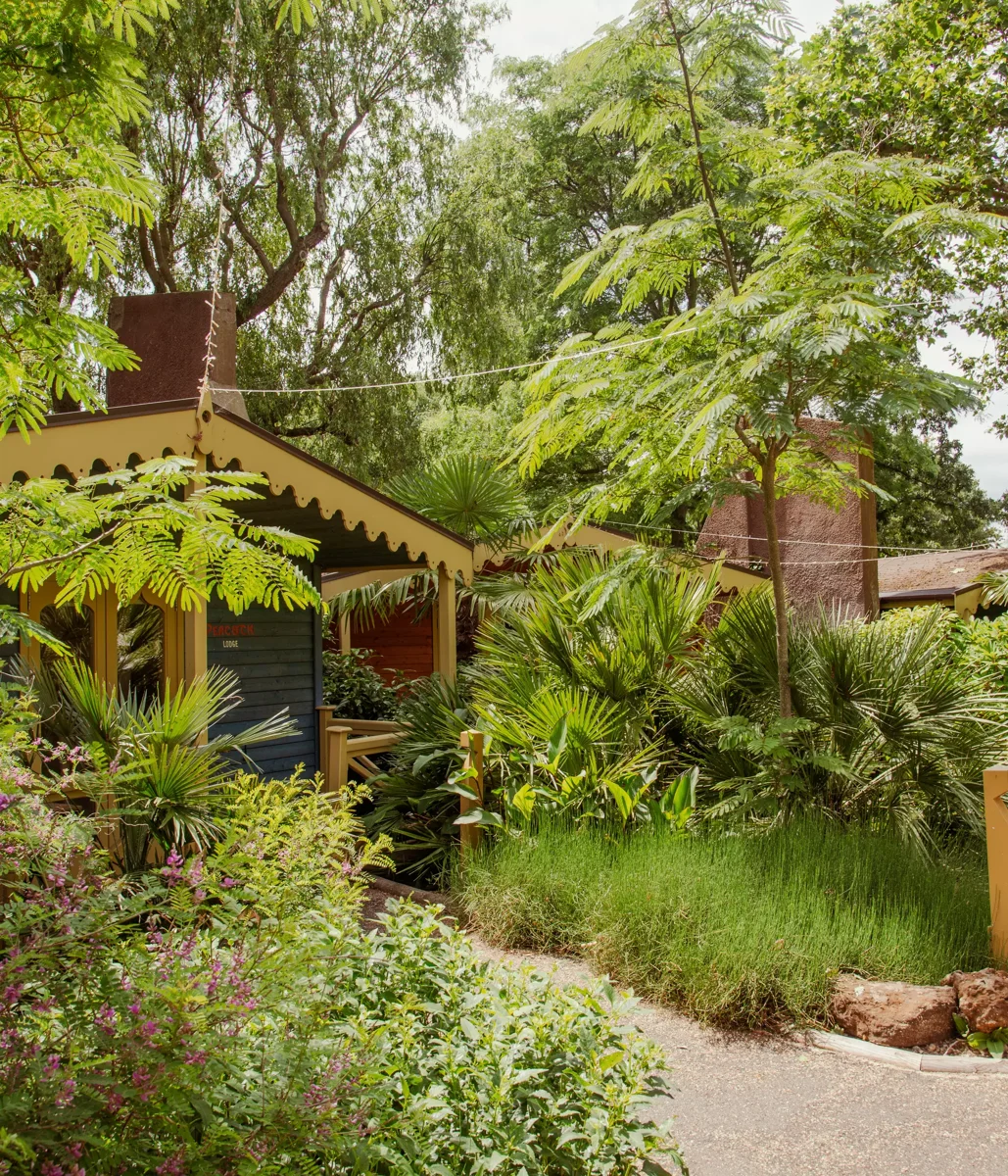 Lodges at London Zoo