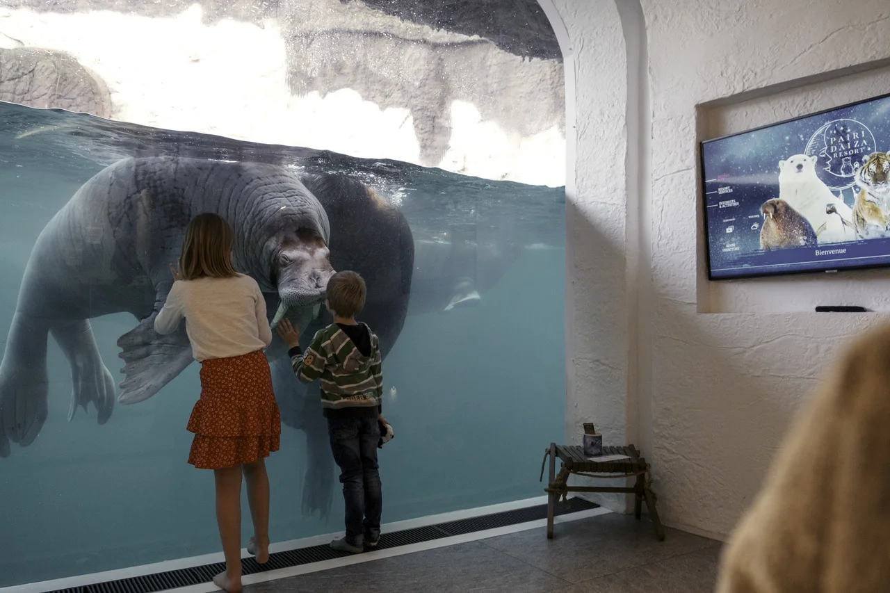 Animal-view accommodation at Pairi Daiza Resort