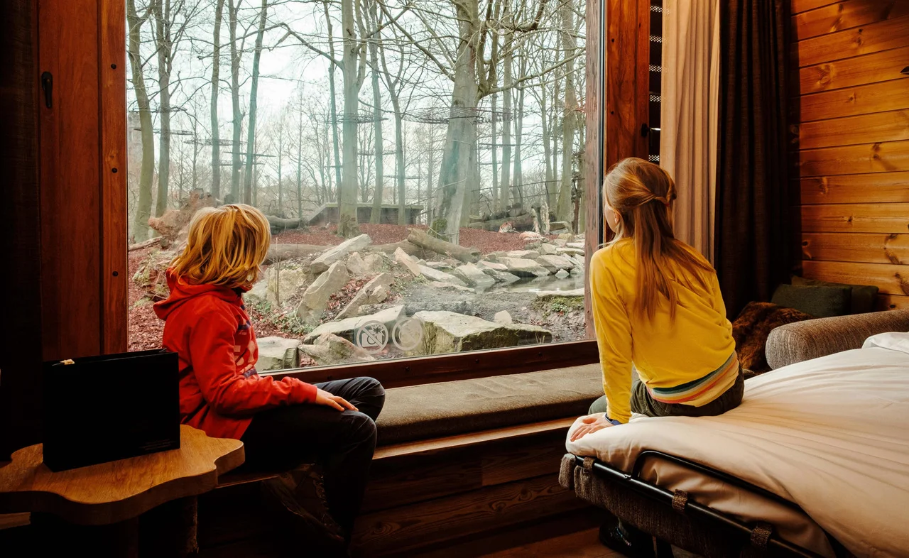 Animal-view accommodation at Pairi Daiza Resort
