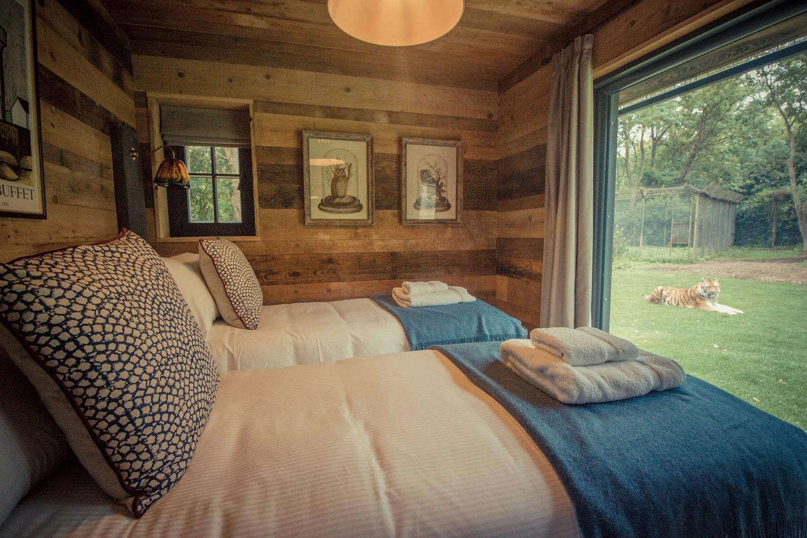 Bedroom at Tiger Lodge