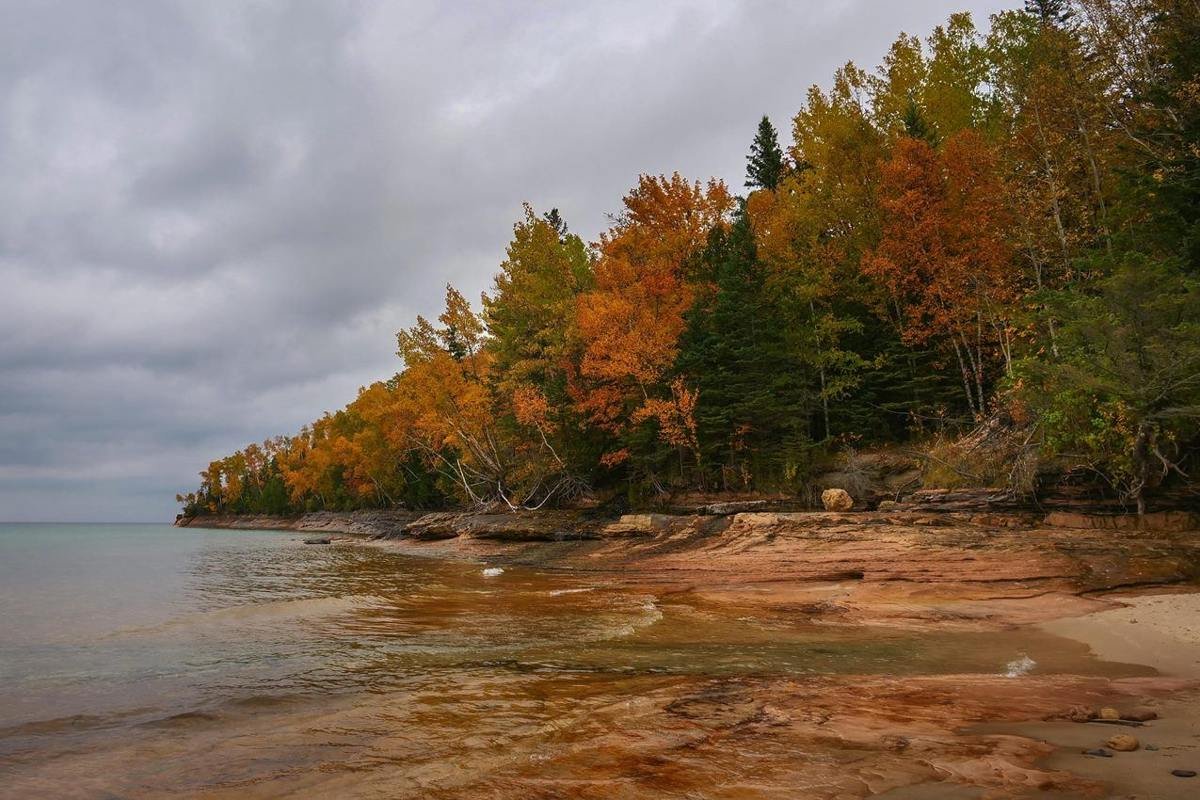 Golden and orange trees line a sandstone cliff rising above a beach on a cloudy autumn day