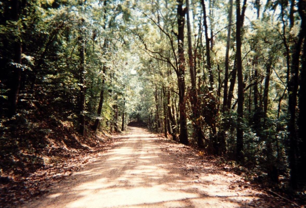 The St. Francis National Forest is the smallest national forest in the country and includes the only upland hardwood forest along Arkansas' Great River Road route.  It also includes the only unpaved section of the route.