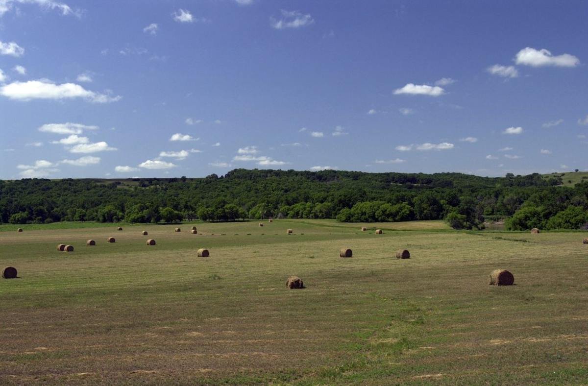 Bales of hay like giant rolls sit drying in a hayfield on the Sheyenne River Valley Scenic Byway somewhere north of the Preston Church site.