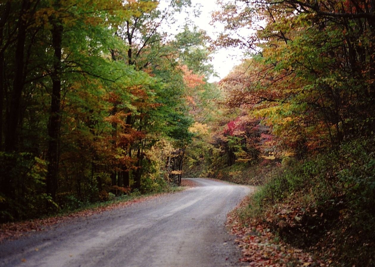 Fall-touched trees encasing the byway invoke mountain beauty on this historic path.