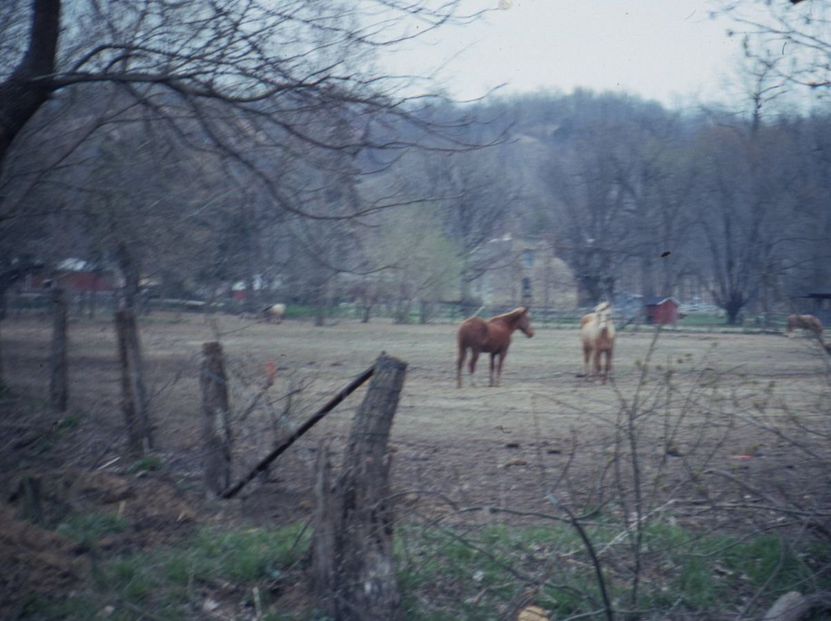Bed and breakfast and horses along the Meeting of the Great Rivers Scenic Route.