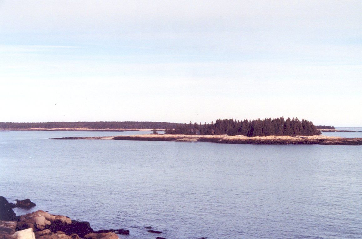 Near the end of Schoodic Point Road, the ocean comes close to the road, and there is a clear view of a flat, forested island.