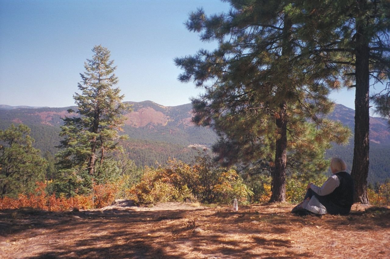 A visitor relaxes under the shade of a tree at the top of an overlook on the Jemez Mountain Trail in New Mexico.