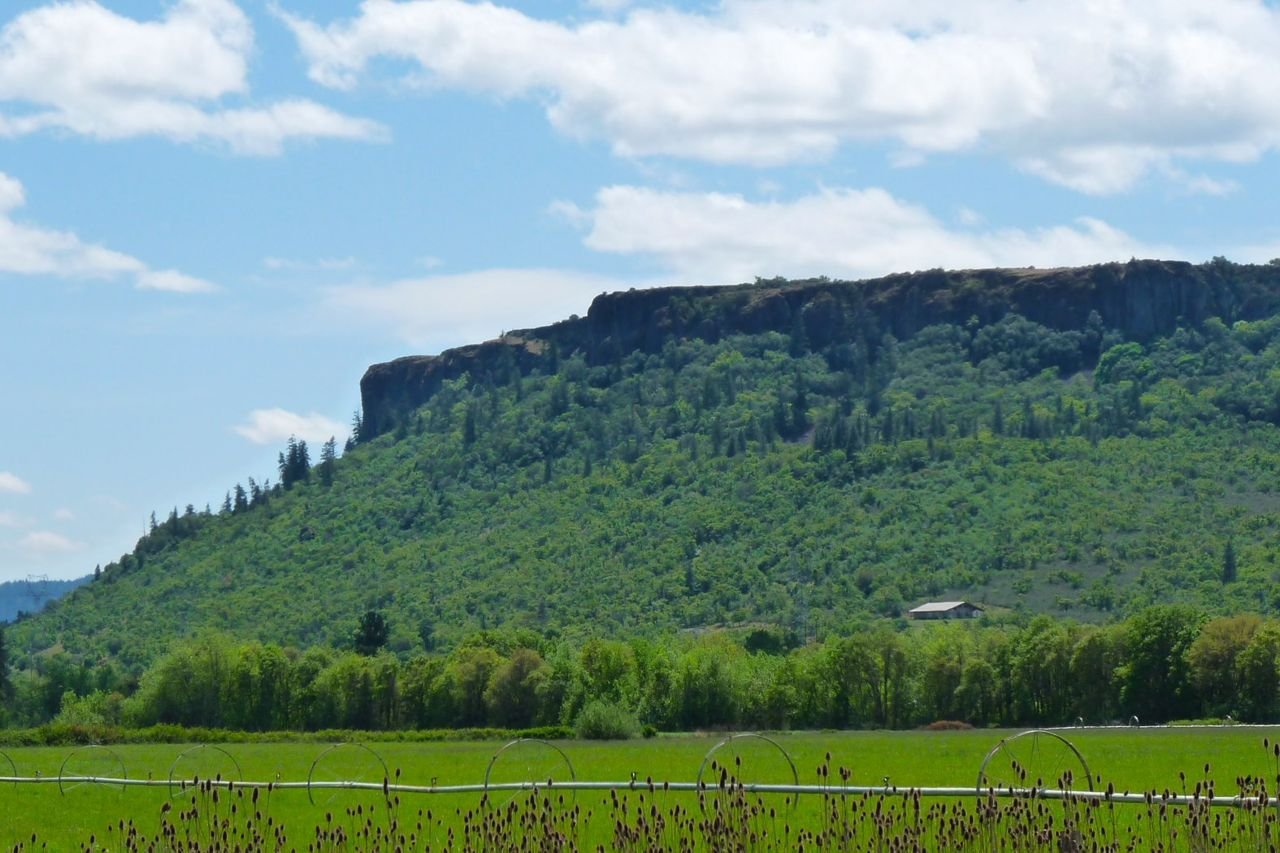 Hike up one of the two scenic mesas, Lower and Upper Table Rocks, for a panoramic view of the Rogue Valley and surrounding mountains. 