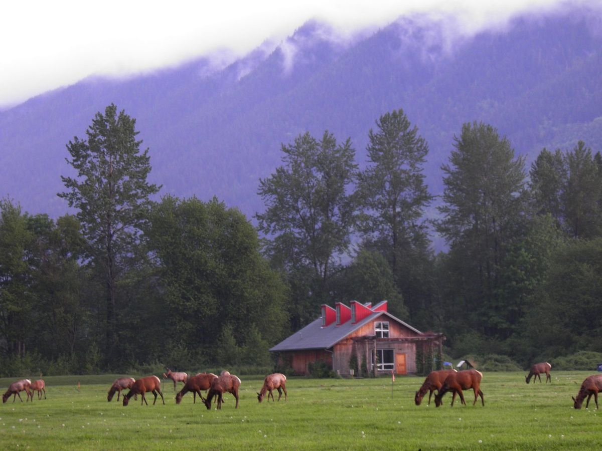 This scenic open space at Meadowbrook Farm on the Snoqualmie Valley Floor is an important story location to the Snoqualmie Tribal people. Historically, the Snoqualmie Tribal people maintained the prairie through traditional methods. Today, Meadowbrook is managed for historic and cultural interpretation, wildlife habitat, agriculture, and public recreation.