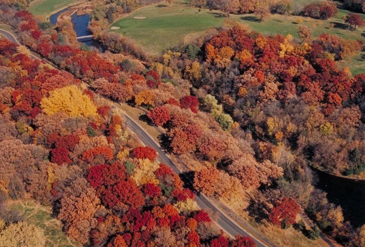 An aerial view taken from above Wirth Golf Course shows the Grand Rounds Scenic Byway surrounded by rich reds and golds.