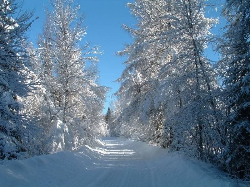 Snow cakes the road and frosts the trees in New Hampshire's White Mountain National Forest.