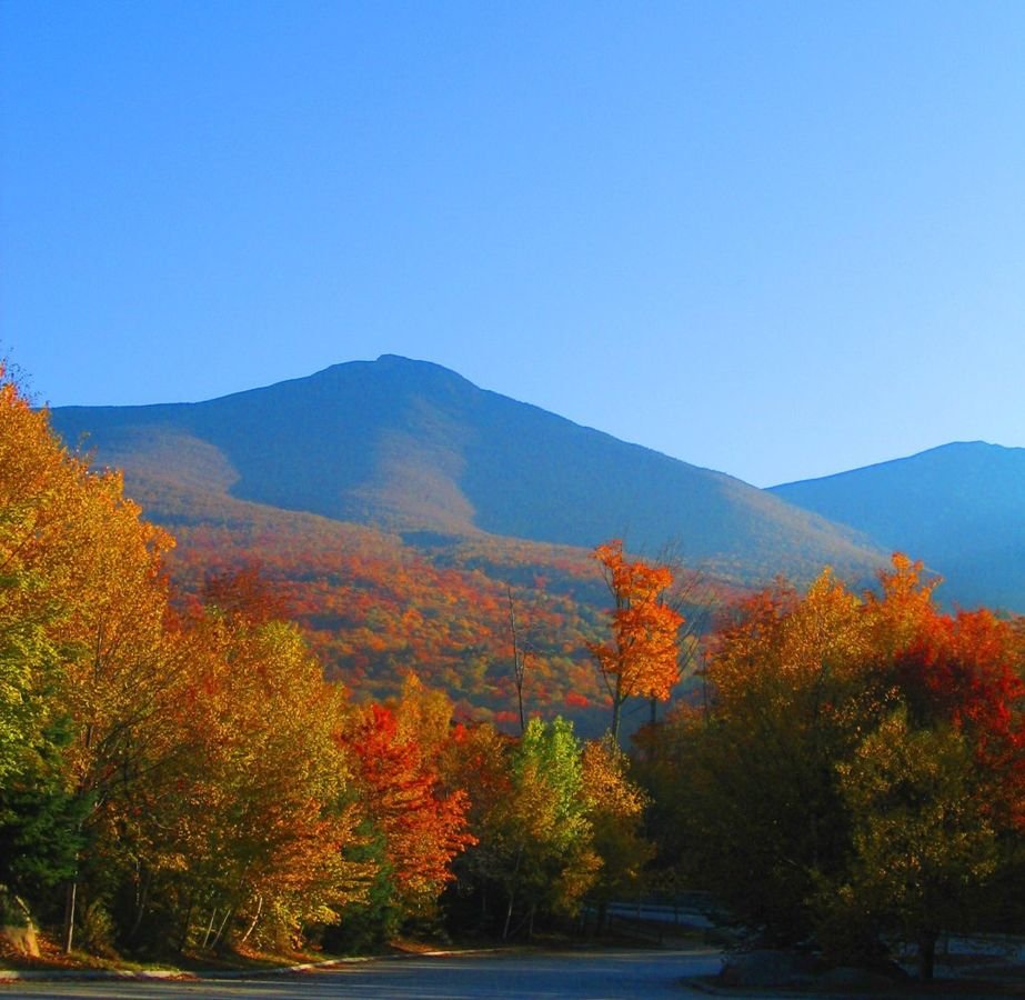 Crimson and gold trees cover the mountains and frame a winding road under a pure blue sky.