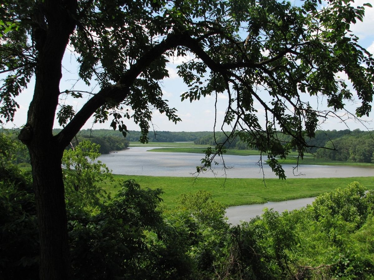 The view from Friendship Farm Park is one of the finest in Southern Maryland, and it provides a very similar view to what early settlers would have seen-- lush greens and meandering waters-- from the bluff overlooking the Tobacco River.