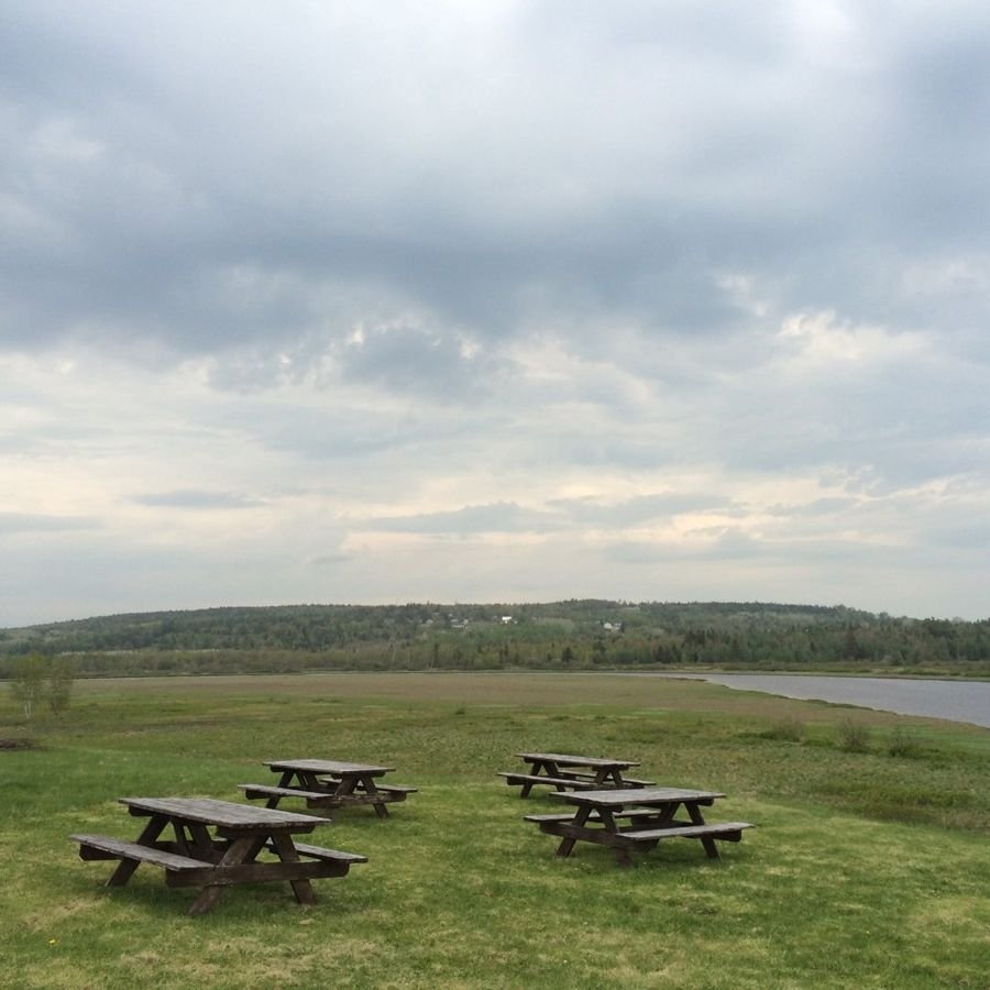 Middle River Park picnic area, located atop a grassy hill, overlooks the Middle River and grassy floodplain; the changing skies and floodplain landscape are beautiful any time of year.