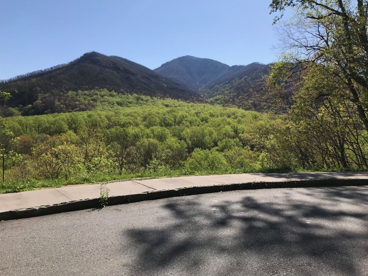 View from the Campbell Overlook Parking Area, across the valley, toward the mountains.