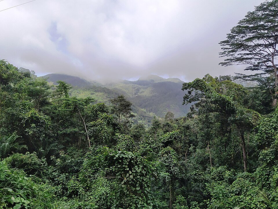Morne Seychellois National Park