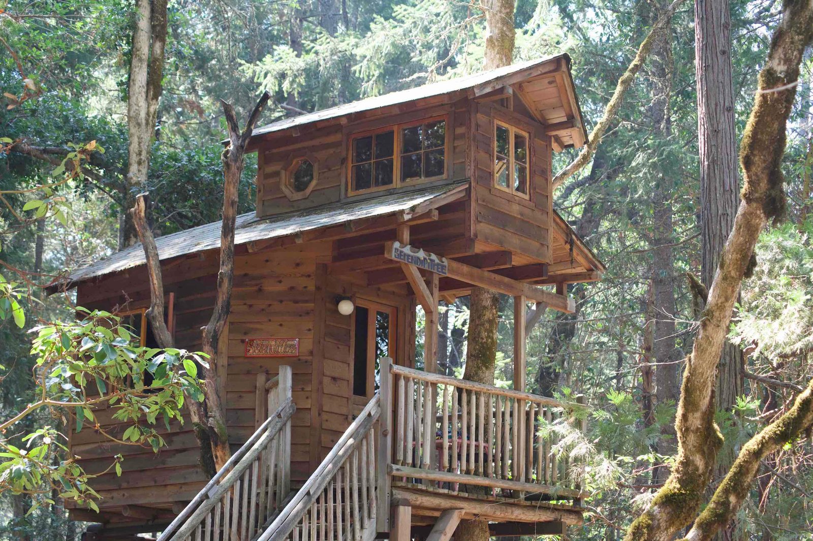 Wooden treehouse and forest walkway at Out n About Treesort in Oregon