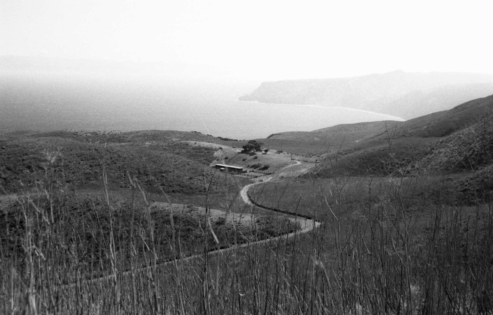 Rolling coastal hills and a winding road on Santa Cruz Island.