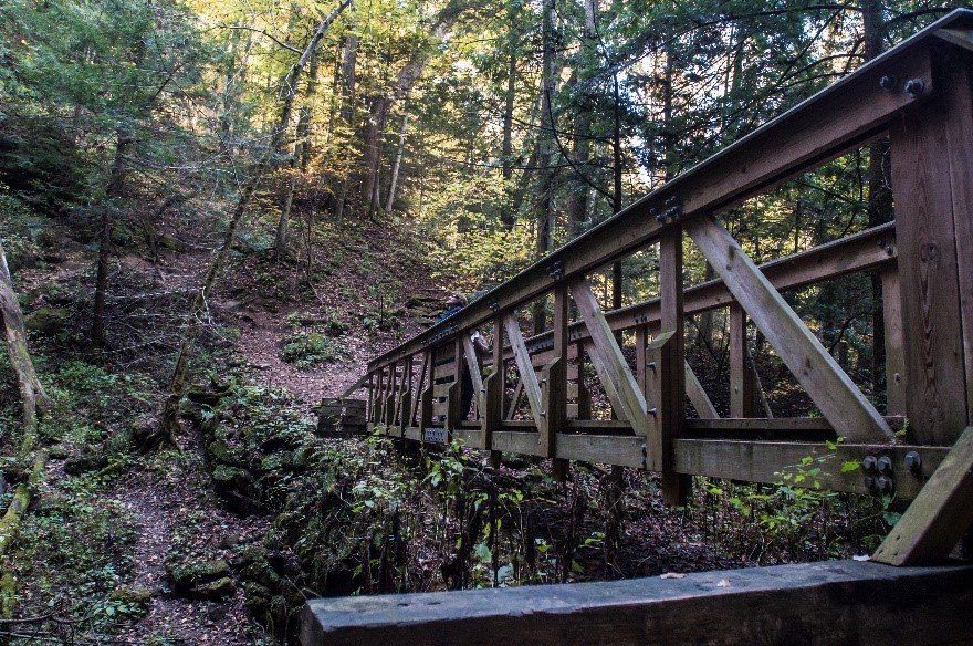A wooden bridge extends over a small gorge and greenery and trees surround it.